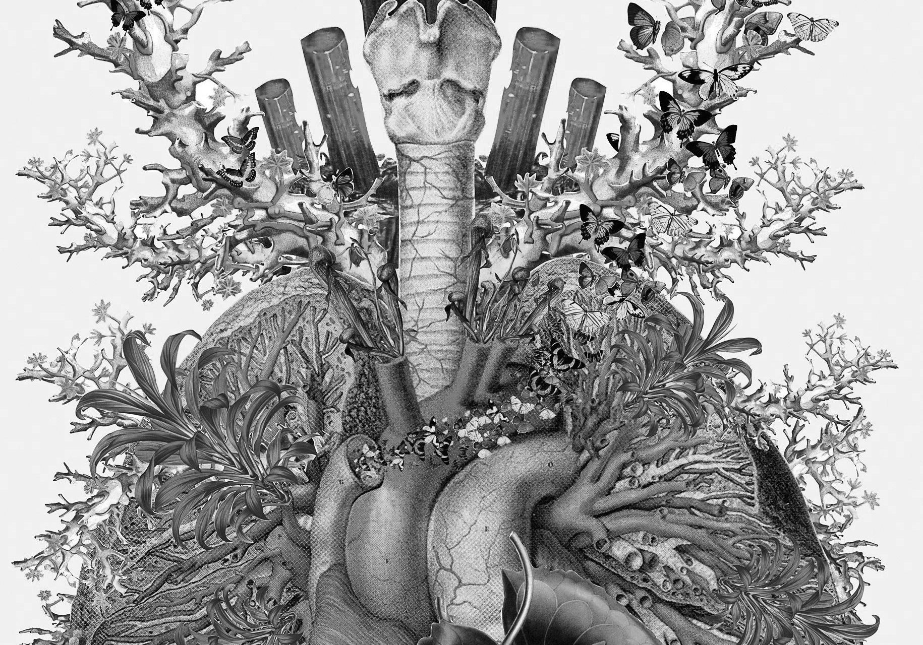 Garden style art of the lungs and heart