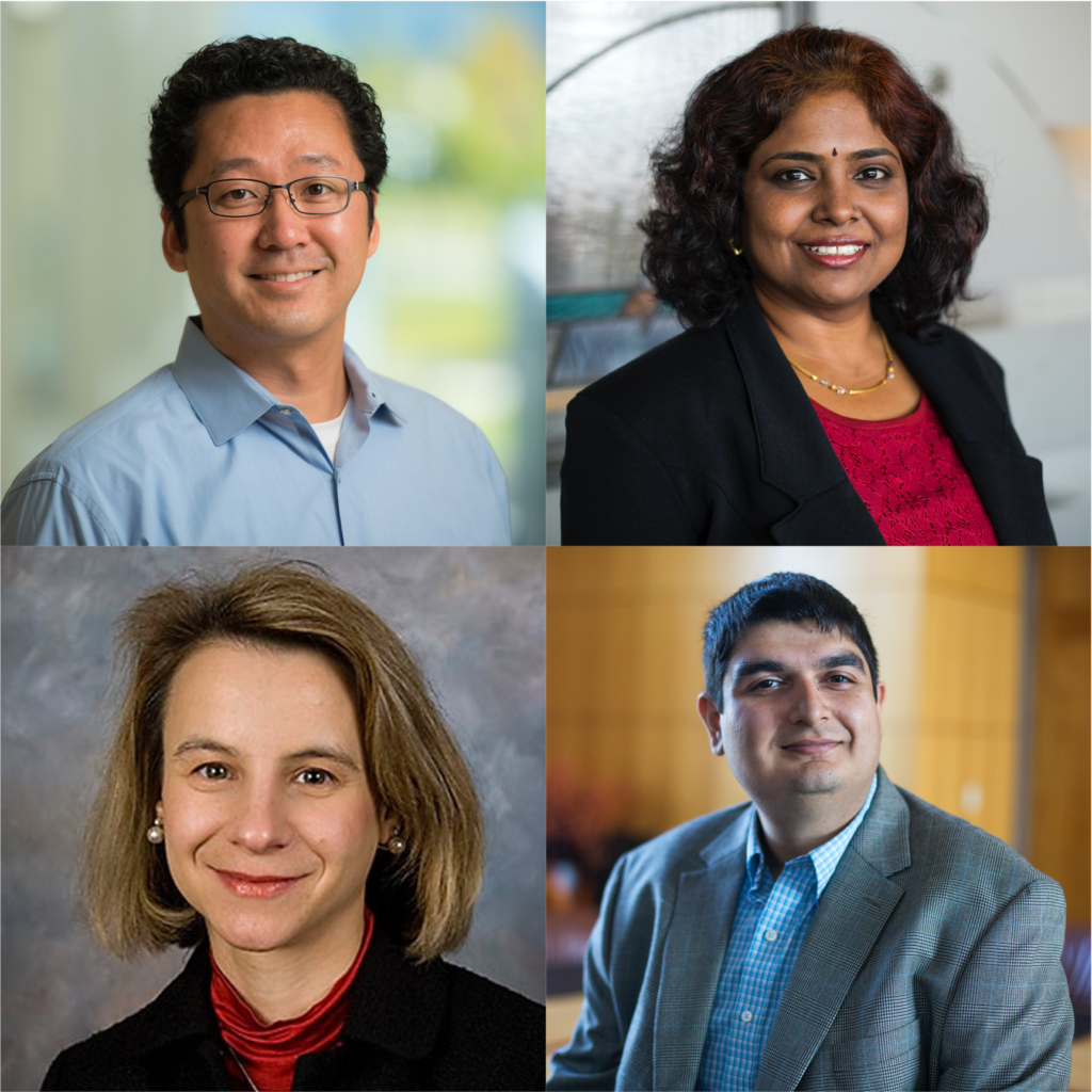 Advanced Materials and Drug Delivery Biointerfaces Institute