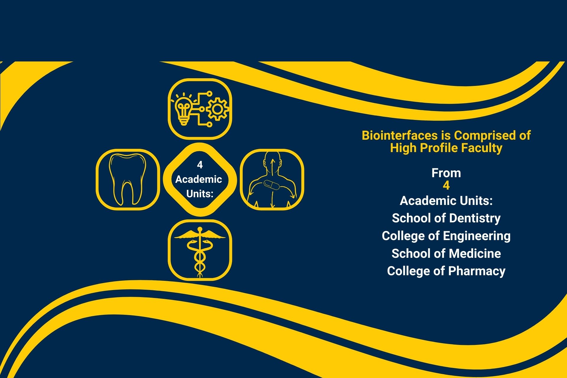 Biointerfaces is Comprised of High Profile Faculty From 4 Academic Units: School of Dentistry College of Engineering School of Medicine College of Pharmacy