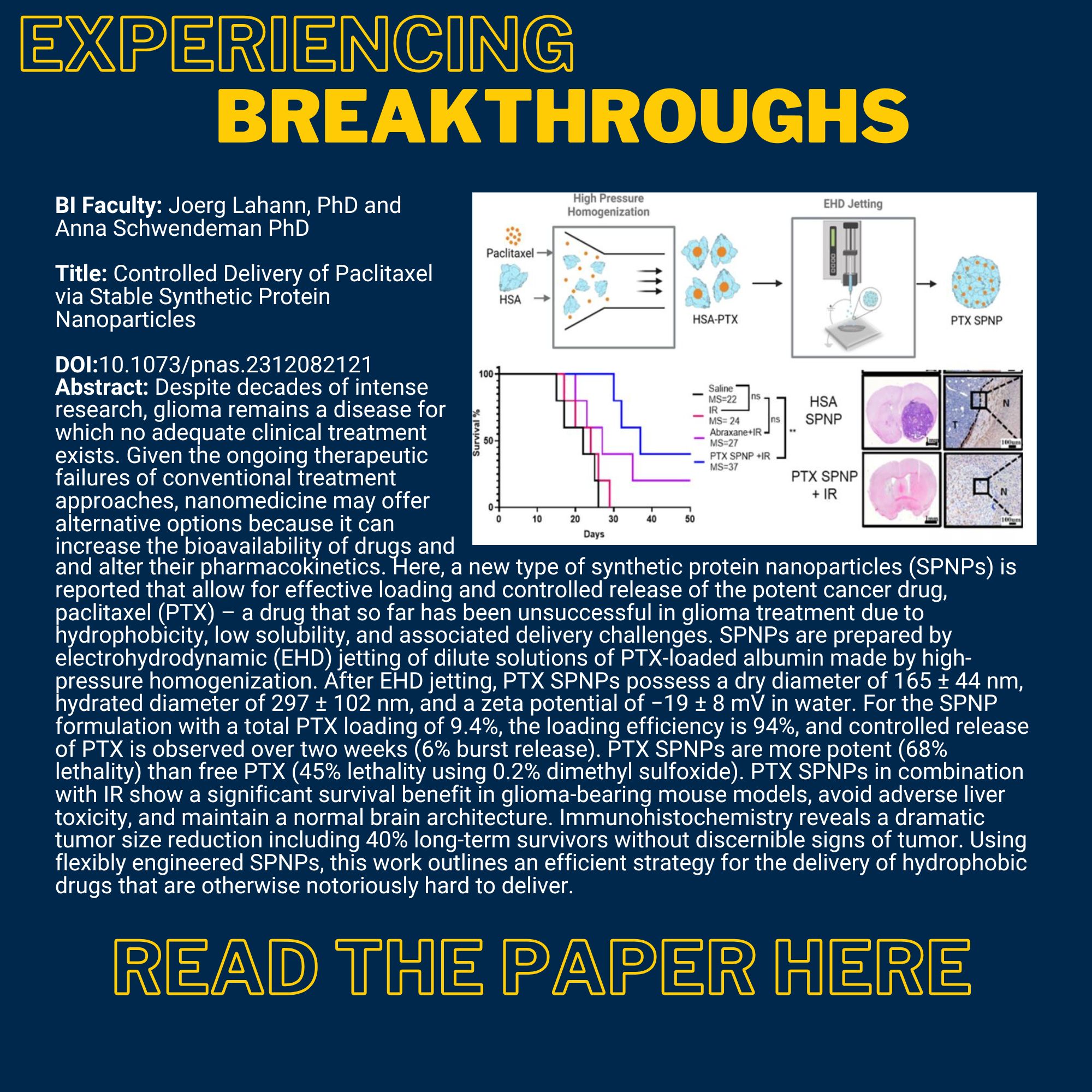 Experiencing Breakthroughs BI Faculty: Joerg Lahann, PhD and Anna Schwendeman PhD Title: Controlled Delivery of Paclitaxel via Stable Synthetic Protein Nanoparticles DOI:10.1073/pnas.2312082121 Abstract: Despite decades of intense research, glioma remains a disease for which no adequate clinical treatment exists. Given the ongoing therapeutic failures of conventional treatment approaches, nanomedicine may offer alternative options because it can increase the bioavailability of drugs and and alter their pharmacokinetics. Here, a new type of synthetic protein nanoparticles (SPNPs) is reported that allow for effective loading and controlled release of the potent cancer drug, paclitaxel (PTX) – a drug that so far has been unsuccessful in glioma treatment due to hydrophobicity, low solubility, and associated delivery challenges. SPNPs are prepared by electrohydrodynamic (EHD) jetting of dilute solutions of PTX-loaded albumin made by high-pressure homogenization. After EHD jetting, PTX SPNPs possess a dry diameter of 165 ± 44 nm, hydrated diameter of 297 ± 102 nm, and a zeta potential of −19 ± 8 mV in water. For the SPNP formulation with a total PTX loading of 9.4%, the loading efficiency is 94%, and controlled release of PTX is observed over two weeks (6% burst release). PTX SPNPs are more potent (68% lethality) than free PTX (45% lethality using 0.2% dimethyl sulfoxide). PTX SPNPs in combination with IR show a significant survival benefit in glioma-bearing mouse models, avoid adverse liver toxicity, and maintain a normal brain architecture. Immunohistochemistry reveals a dramatic tumor size reduction including 40% long-term survivors without discernible signs of tumor. Using flexibly engineered SPNPs, this work outlines an efficient strategy for the delivery of hydrophobic drugs that are otherwise notoriously hard to deliver. Link to paper Image from the paper