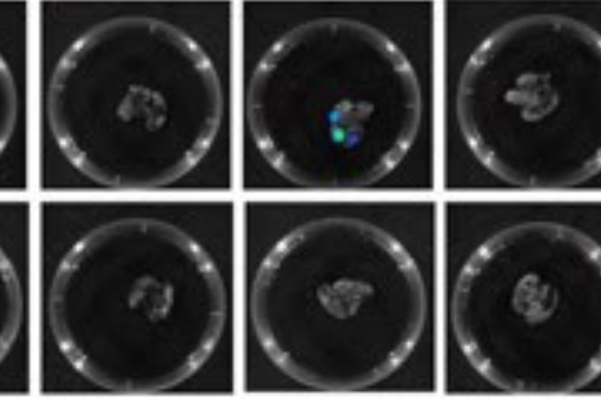 Nanoparticles